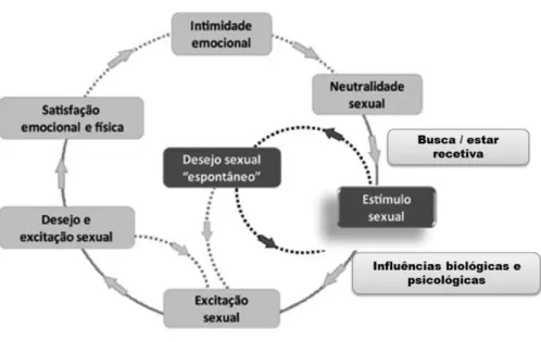 Satisfação Sexual: síntese de evidências - Perspetivando a Satisfação  Sexual: da delimitação do